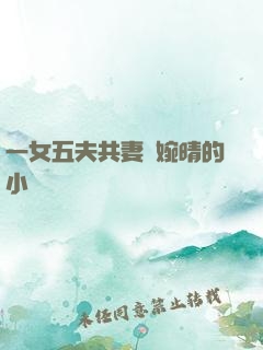 一女五夫共妻蘇婉晴的小說