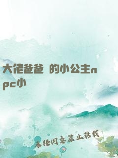 大佬爸爸們的小公主npc小說