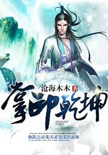 掌印乾坤