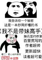 我不是帶妹高手