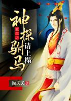 神探駙馬請接嫁